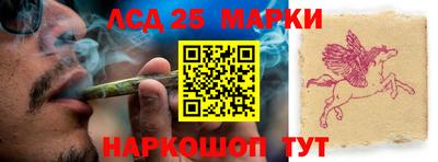 шишки Берёзовский