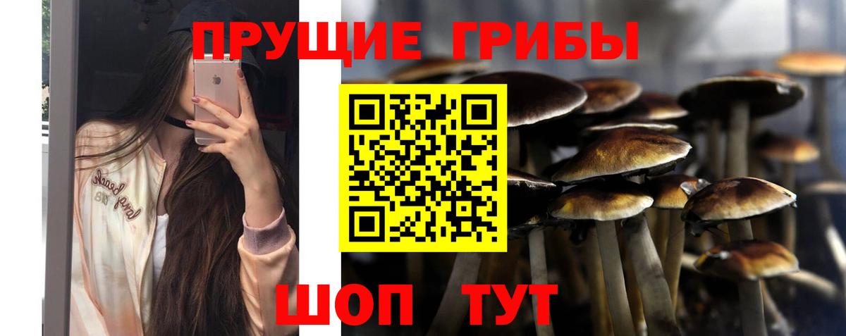 даркнет сайт  Галлюциногенные грибы ЛСД  Вход с VPN  Берёзовский 