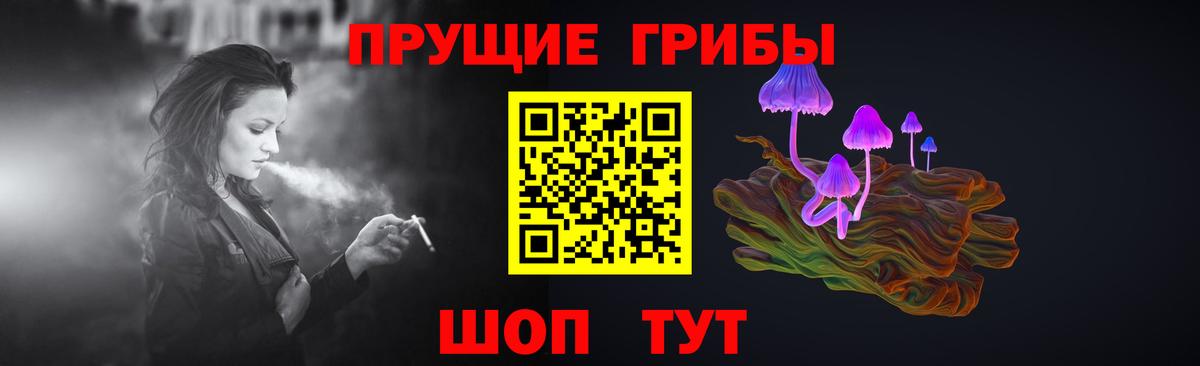 Галлюциногенные грибы Cubensis Берёзовский